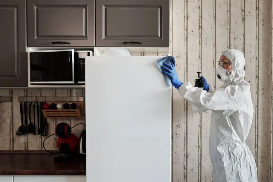 How to prevent mold after water damage in Metairie